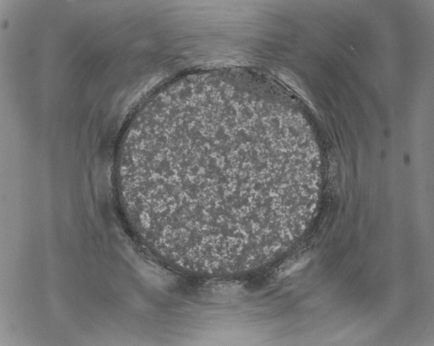 X0000067910491200605111946