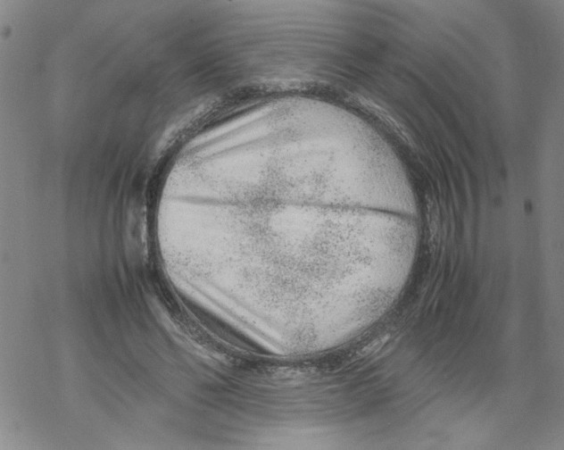 X0000067910494200605111946