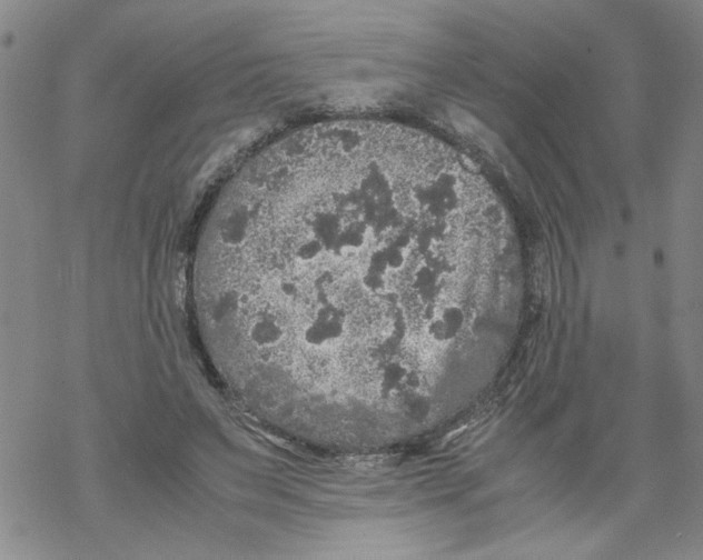 X0000067910495200605111946