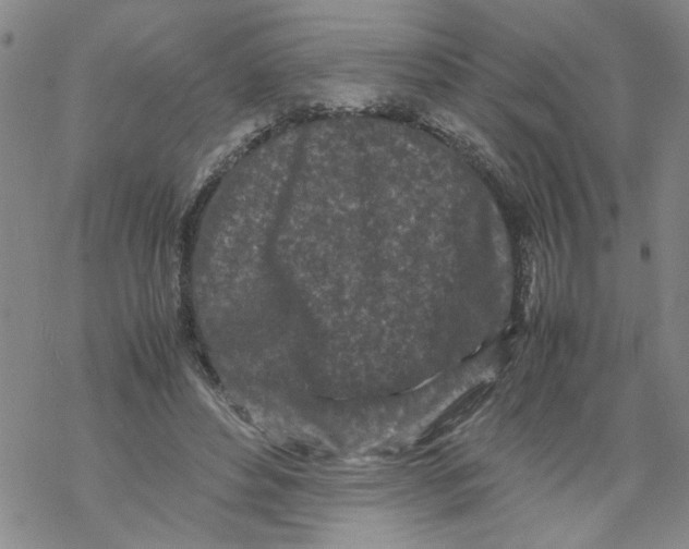 X0000067910496200605111946