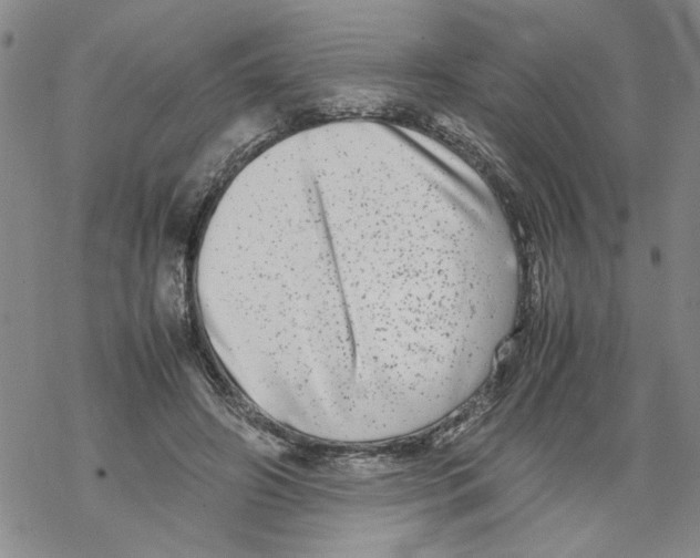 X0000067910498200605111946