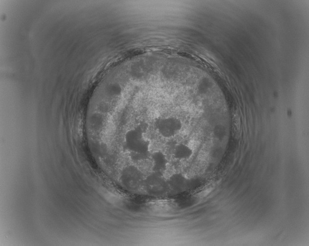 X0000067910499200605111946