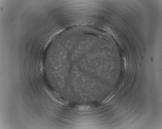 X0000067910500200605111946