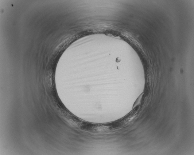 X0000067910501200605111946