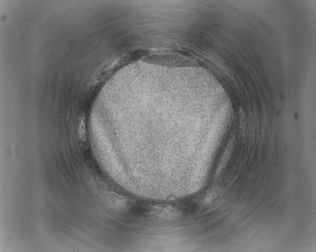 X0000067910502200605111946