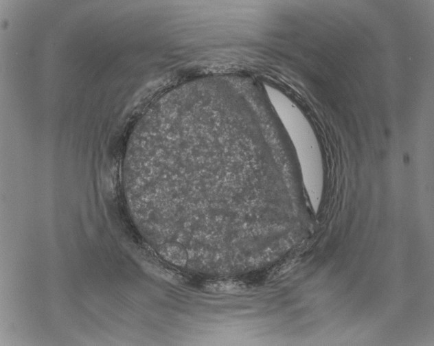 X0000067910503200605111946