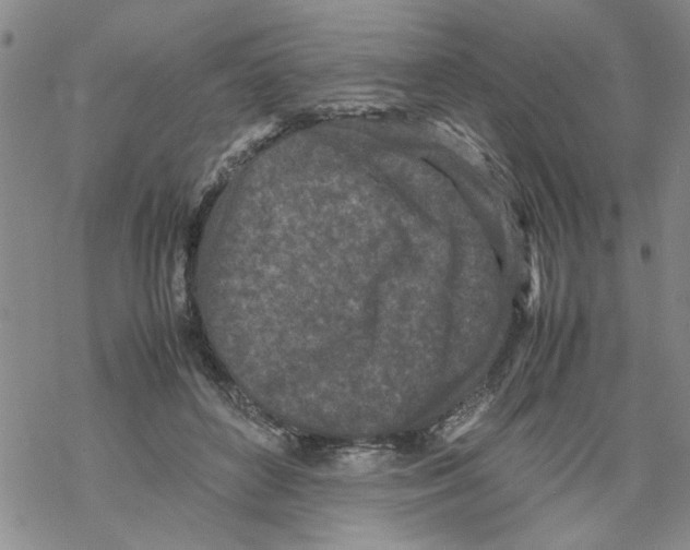 X0000067910504200605111946