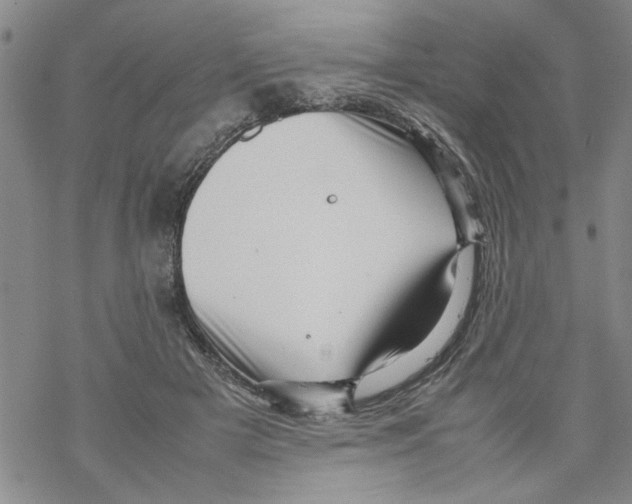 X0000067910505200605111946