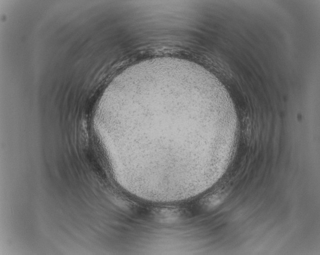 X0000067910506200605111946