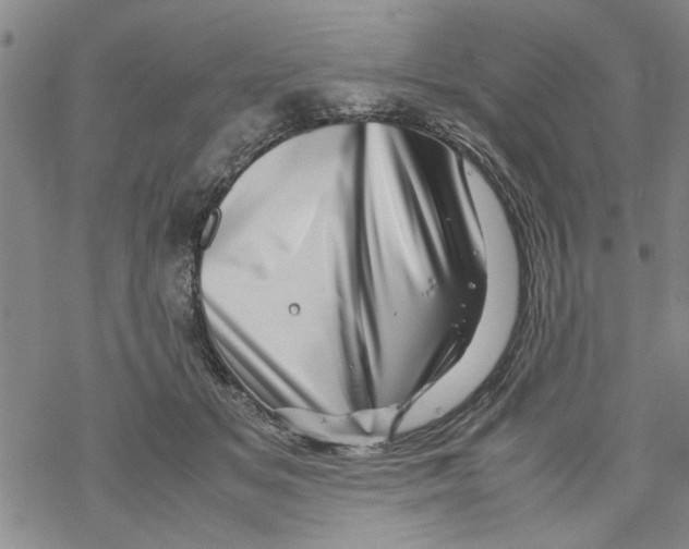 X0000067910509200605111946