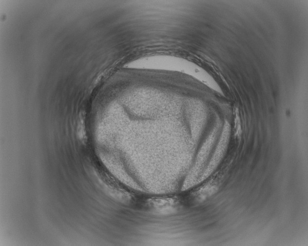 X0000067910512200605111946