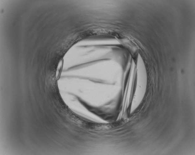 X0000067910513200605111946