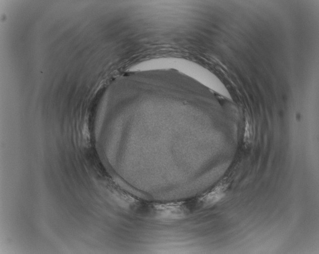 X0000067910516200605111946