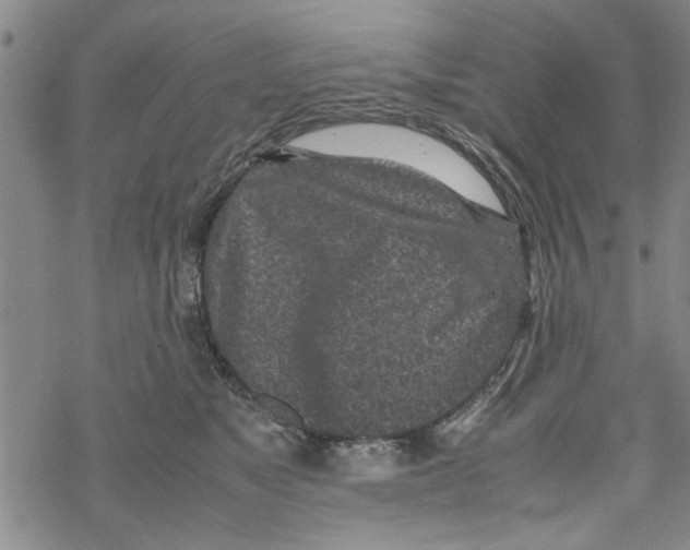 X0000067910517200605111946