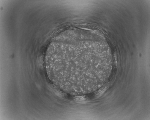 X0000067910519200605111946