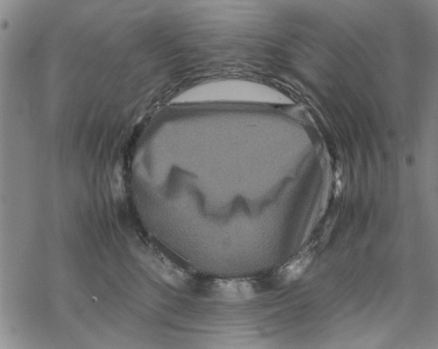 X0000067910520200605111946