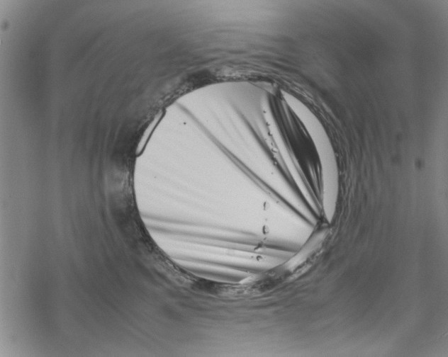 X0000067910521200605111946