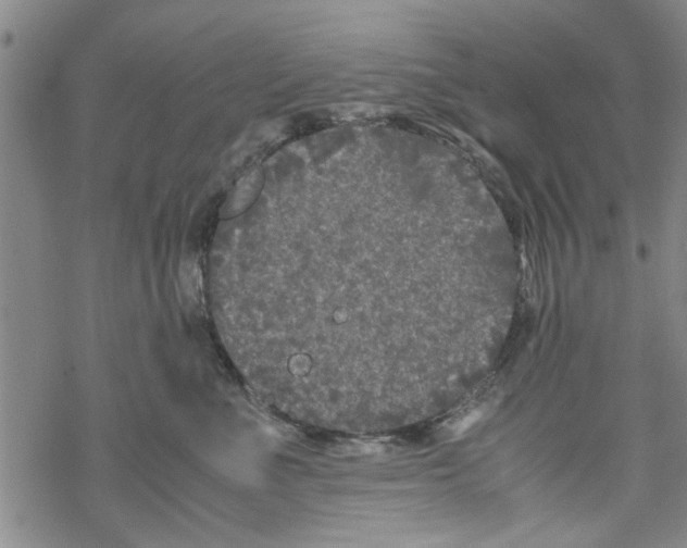 X0000067910523200605111946