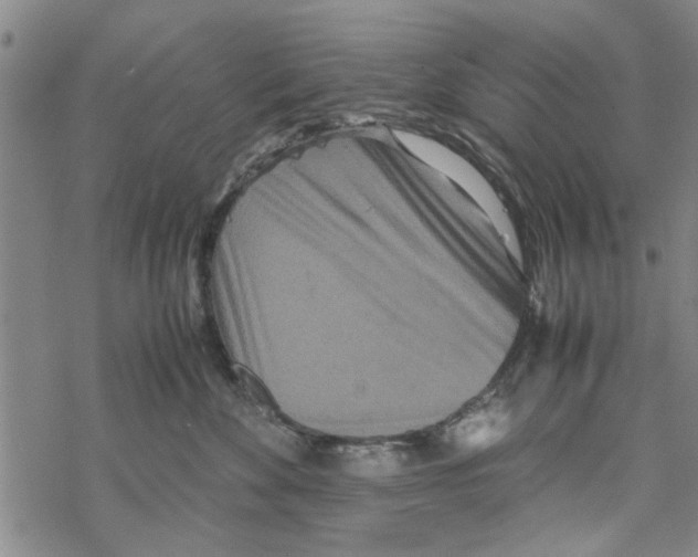 X0000067910524200605111946