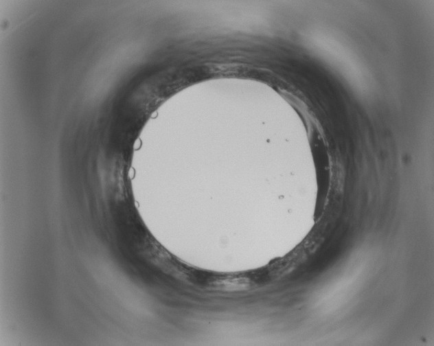 X0000067910525200605111946