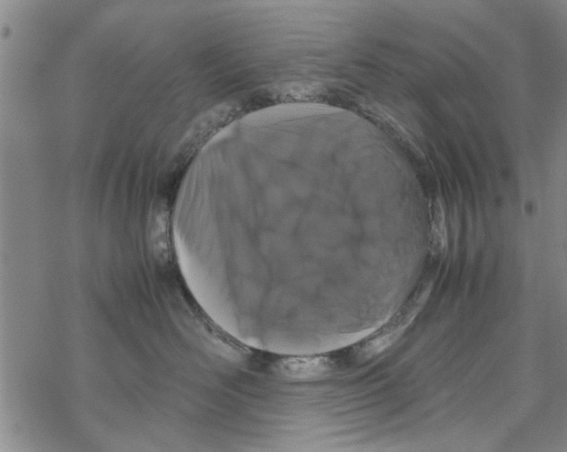 X0000067910526200605111946