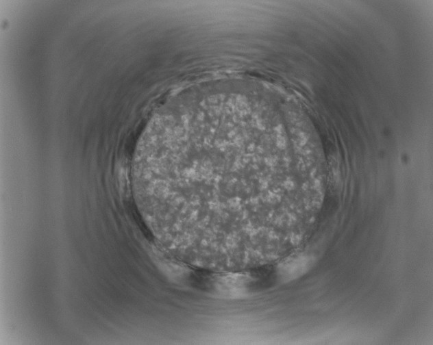 X0000067910527200605111946