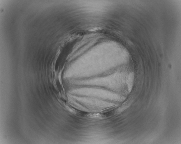 X0000067910528200605111946