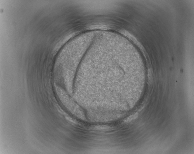 X0000067910529200605111945