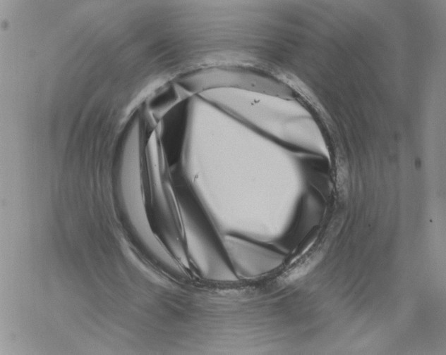 X0000067910530200605111945