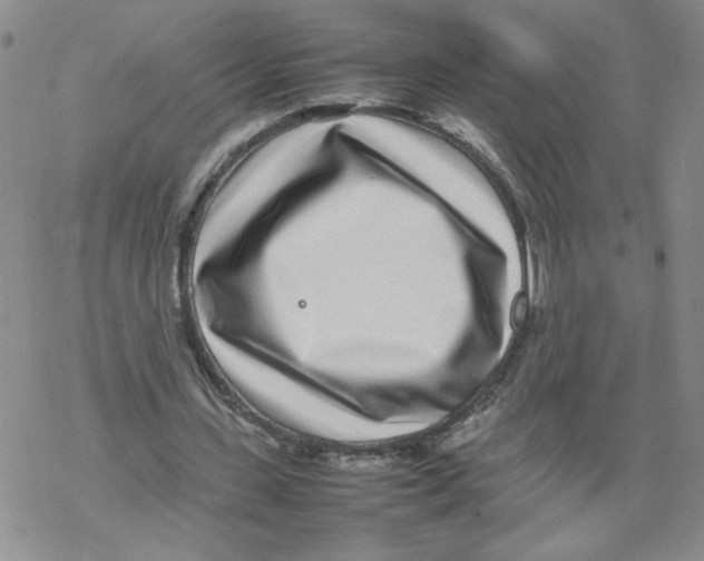 X0000067910531200605111945