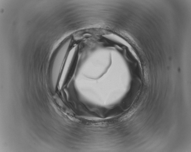 X0000067910532200605111945