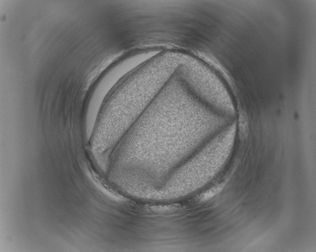 X0000067910533200605111945