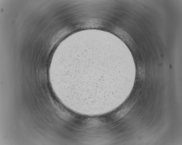 X0000067910534200605111945