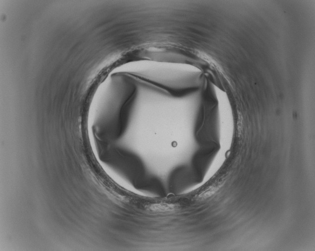 X0000067910535200605111945