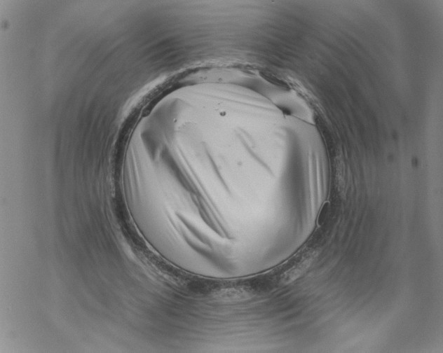 X0000067910536200605111945