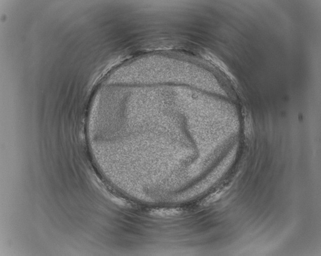 X0000067910537200605111945