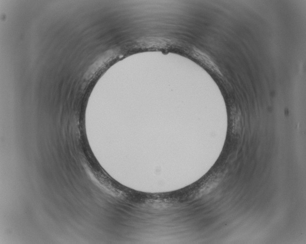 X0000067910538200605111945