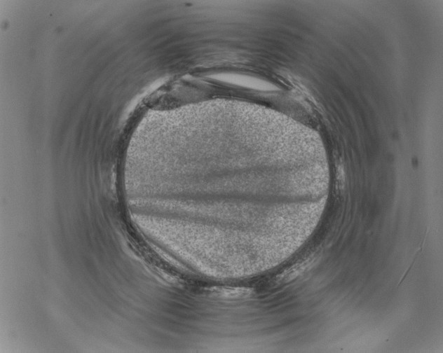 X0000067910539200605111945