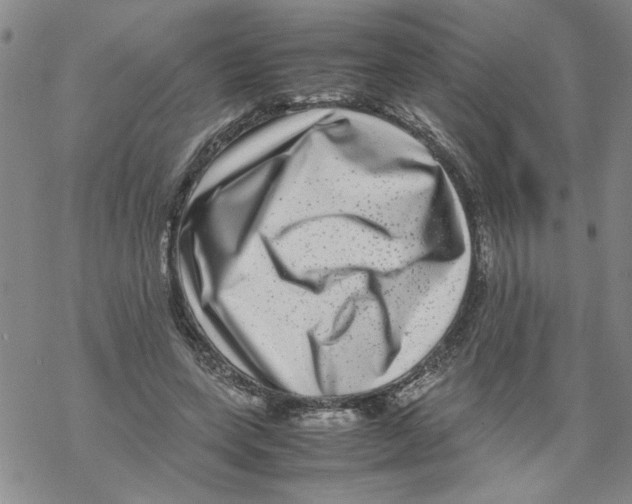 X0000067910543200605111945