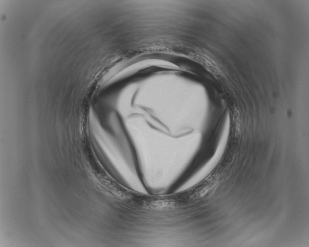 X0000067910546200605111945