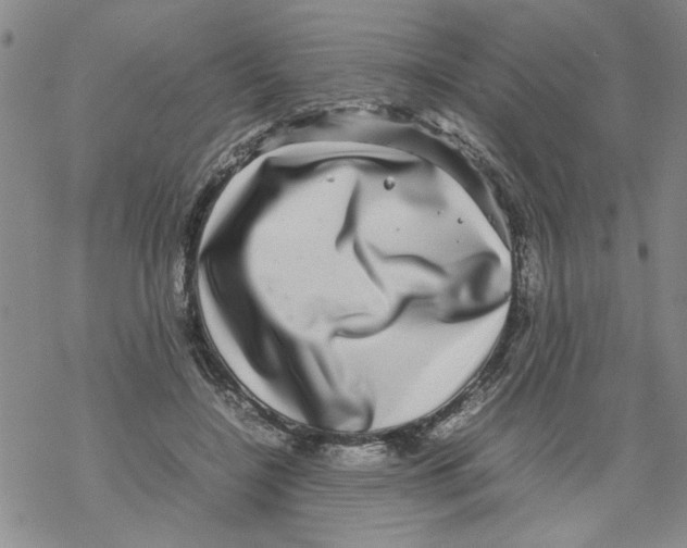 X0000067910548200605111945