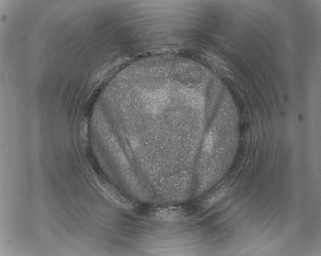 X0000067910550200605111945