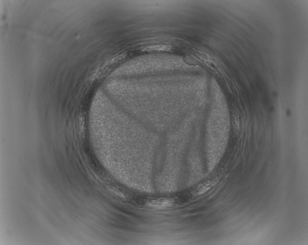 X0000067910551200605111945