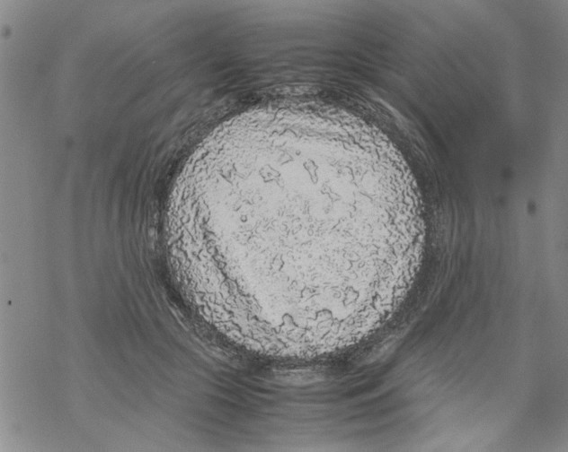 X0000067910553200605111945