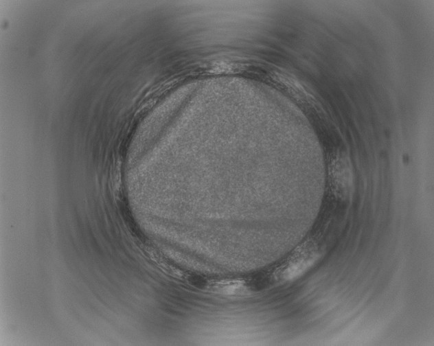 X0000067910554200605111945