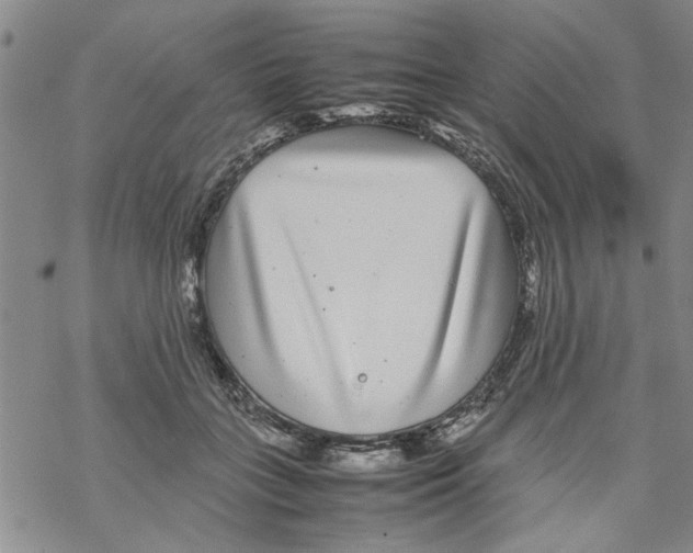 X0000067910555200605111945