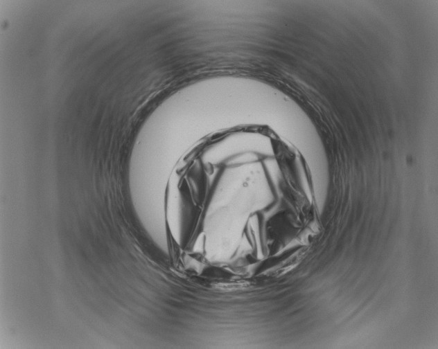 X0000067910556200605111945