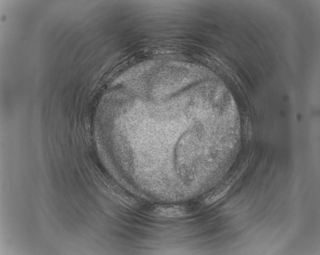 X0000067910557200605111945