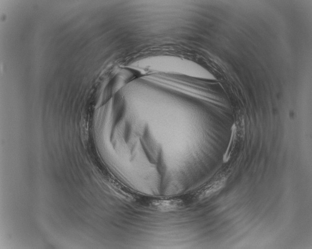 X0000067910558200605111945