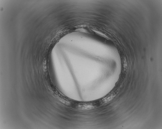 X0000067910559200605111945